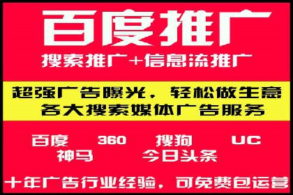 SEM搜索引擎优化成功案例，揭示优化策略与技巧